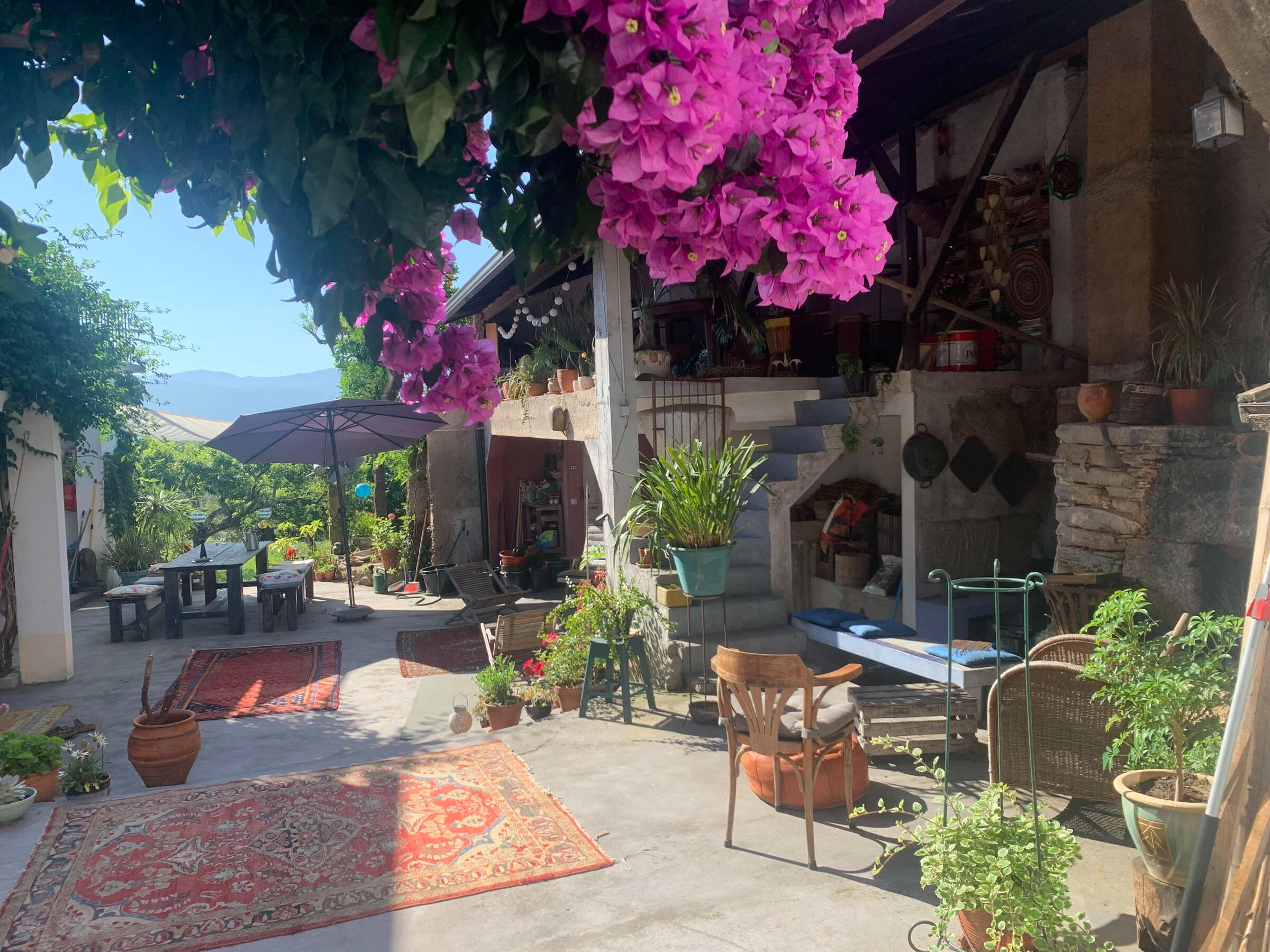 Courtyard in summer