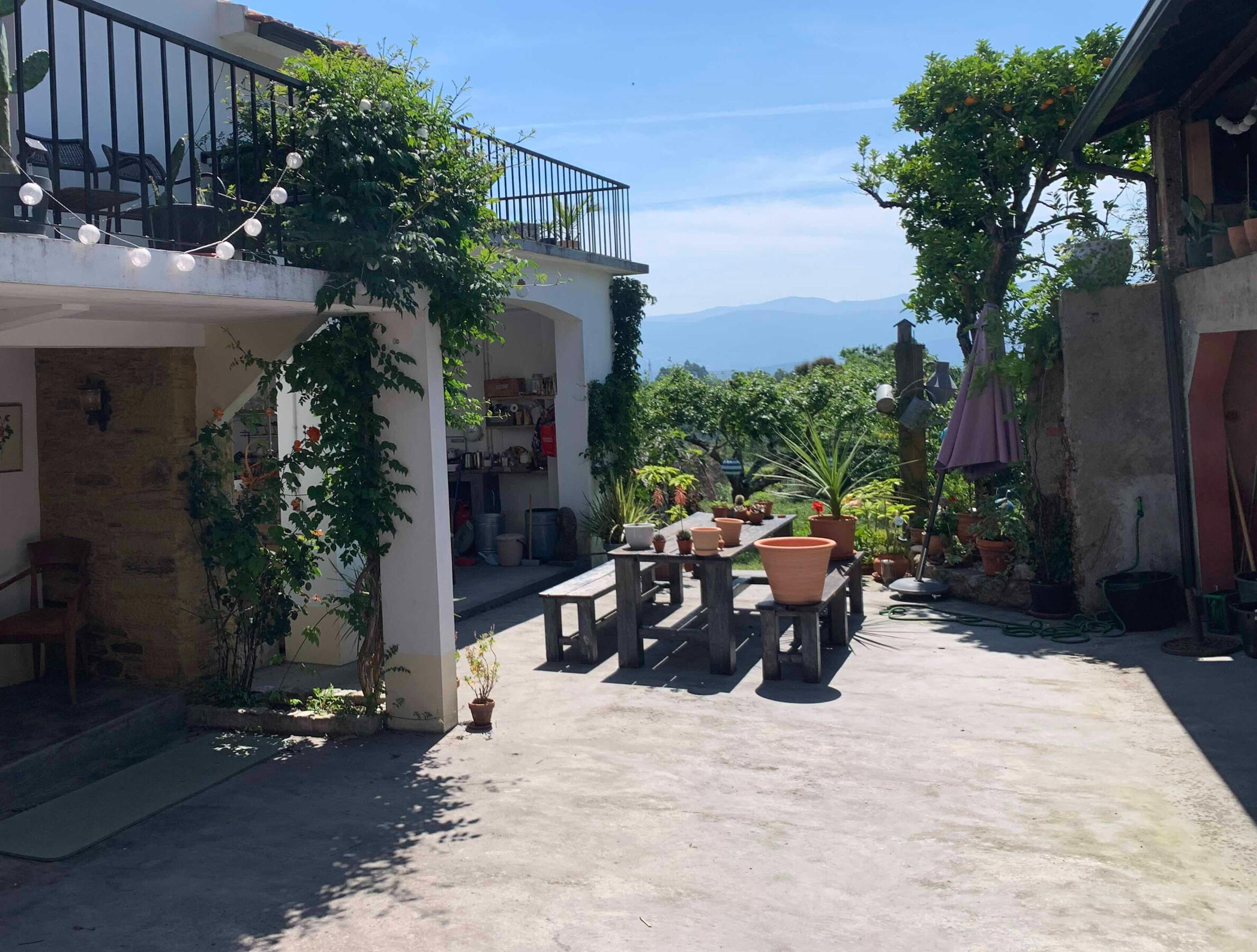 Courtyard view
