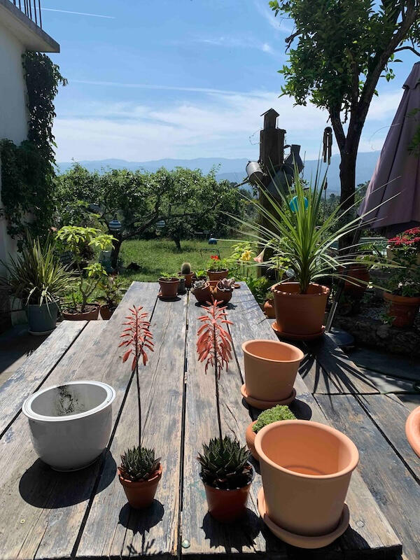 Courtyard table view